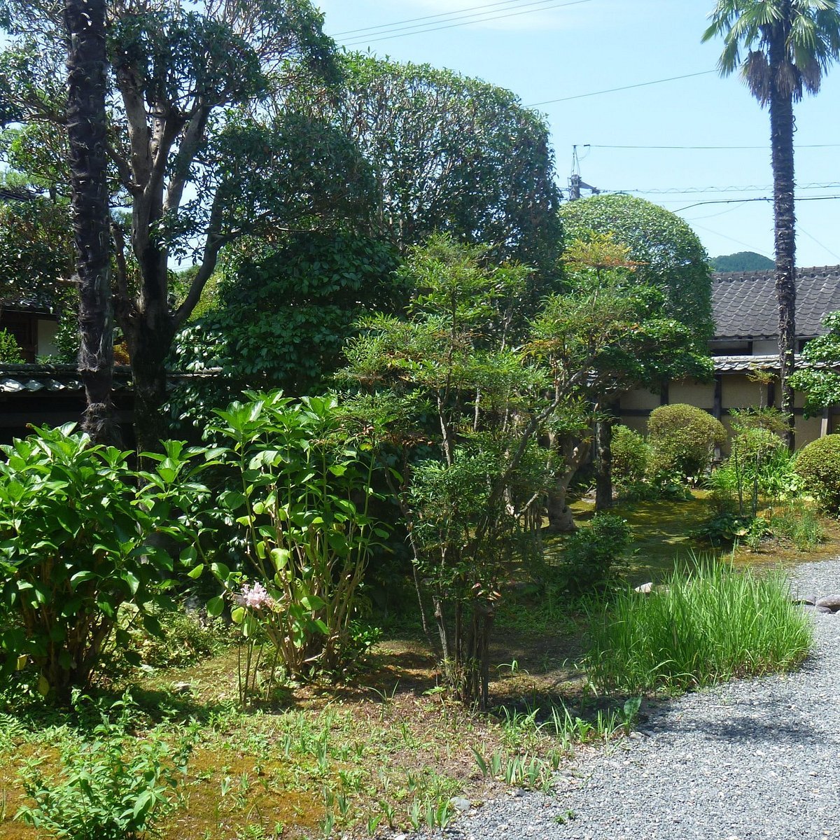 🏘️ 카츠야마 거리 보존 지구(카츠야마 마치나미 호존치쿠) 이미지 5